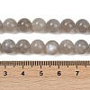 Natural Grey Moonstone Beads Strands G-G206-A01-8mm-5
