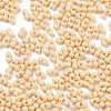 Baking Paint Glass Seed Beads X1-SEED-A033-05G-4