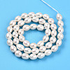 Natural Cultured Freshwater Pearl Beads Strands PEAR-N012-06X-3