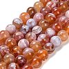 Dyed Natural Agate Beads Strands G-G203-10K-12mm-2