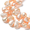 Natural Cultured Freshwater Pearl Beads Strands PEAR-J007-30-3