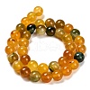Dyed Natural Agate Beads Strands G-G203-10F-10mm-3