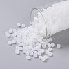 TOHO Round Seed Beads SEED-XTR08-0141F-2