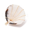 Natural Clam Shell Copper Wire Wrapped Pendants PALLOY-TA00268-4