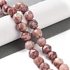 Natural Plum Blossom Jasper Beads Strands G-NH0021-A20-02-1