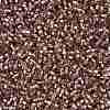 Cylinder Seed Beads X-SEED-H001-G19-4