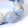 Natural Sodalite Round Bead Strands G-E334-10mm-08-4