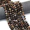 Natural Petrified Wood Beads Strands G-P573-A32-01-1