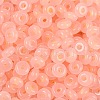 Transparent Colours Glass Seed Beads SEED-P008-01B-11-2