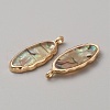 Resin Imitation Abalone Paua Shell Pendants FIND-WH0417-12A-2