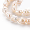 Natural Cultured Freshwater Pearl Beads Strands PEAR-S012-41E-4