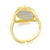 Natural Paua Shell Oval Open Cuff Ring RJEW-H220-05G-3