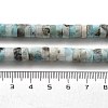 Natural Larimar Beads Strands G-Q024-B03-04-5