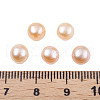 Half Drilled Natural Cultured Freshwater Pearl Beads PEAR-N020-06A-8
