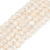 Natural Cultured Freshwater Pearl Beads Strands PEAR-P064-19G-01A-2