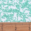MIYUKI Delica Beads SEED-X0054-DB0627-4