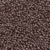 TOHO Round Seed Beads SEED-JPTR11-0460-2