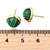 Brass Half Round Stud Earrings EJEW-Z124-03G-5