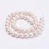 Wrinkle Textured Shell Pearl Beads Strands BSHE-E016-10mm-07-2