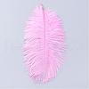 Ostrich Feather Costume Accessories FIND-R036-A-15-1