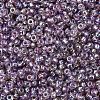 MIYUKI Round Rocailles Beads SEED-X0054-RR1012-2