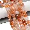 Natural Red Agate Beads Strands G-A248-A06-05-1