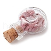 3Pcs 3 Styles Transparent Glass Wishing Bottle Decoration PALLOY-JF03098-5