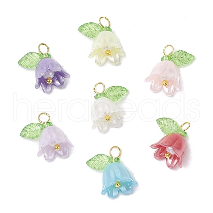 Acrylic Beads with Plastic Imitation Pearl Beads Pendants PALLOY-JF03825-02-1