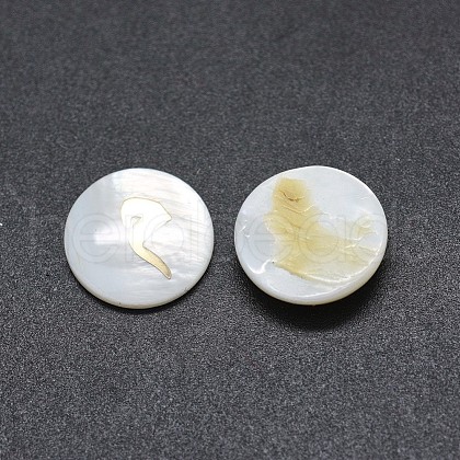 Shell Cabochons SSHEL-E568-B09-1