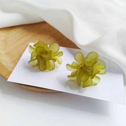 Alloy Acrylic Stud Earrings FS-WGE0AD6-70-1