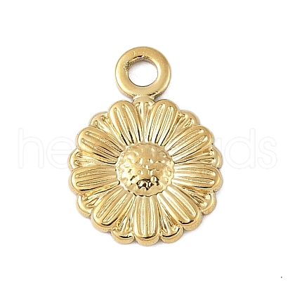 304 Stainless Steel Charms STAS-S177-02G-1