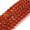 Natural Carnelian Beads Strands X-G-G390-8mm-03-1
