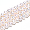Natural Cultured Freshwater Pearl Beads Strands PEAR-N016-06C-2