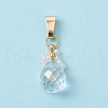 Glass Seed Beaded Pendants PALLOY-MZ00590-03-1