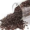 TOHO Round Seed Beads X-SEED-TR11-0222-1