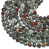 Natural African Bloodstone Beads Strands G-K389-B64-01-3