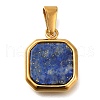 304 Stainless Steel Pave Natural Lapis Lazuli Pendants STAS-Z113-01G-01-1