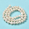 Natural Cultured Freshwater Pearl Beads Strands PEAR-E017-10-3