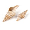 Natural Spiral Shell Beads SSHEL-N040-03-2