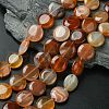 Flat Round Gemstone Natural Red Agate Stone Beads Strands X-G-S110-03-1