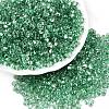 Baking Paint Transparent Glass Seed Beads SEED-N006-05J-1
