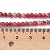 Dyed Natural Regalite/Imperial Jasper/Sea Sediment Jasper Beads Strands G-B124-C05-09-2