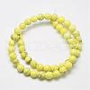 Natural Howlite Beads G-G904-8mm-05-1