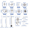  DIY Bracelet Making Finding Kit DIY-TA0004-82-11