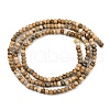 Natural Picture Jasper Beads Strands G-P572-A01-01-3