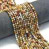 Natural Crazy Lace Agate Beads Strands G-A260-A11-01-1