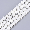 Natural Trochid Shell/Trochus Shell Bead Strands SSHEL-N034-68A-1