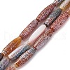 Natural Weathered Agate Beads Strands G-P570-C03-01-1