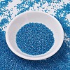 MIYUKI Delica Beads Small SEED-X0054-DBS0862-2