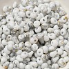 Baking Paint Glass Seed Beads X1-SEED-F006-01A-09-3